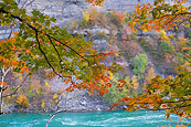 Niagara Gorge